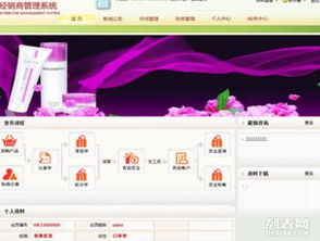 山东济南 青岛直销软件程序网站系统开发制作
