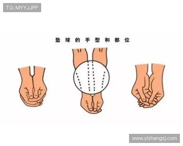 新手必看全面排球观赛指南带你轻松掌握规则与观赛技巧 新手必看全面排球观赛指南带你轻松掌握规则与观赛技巧