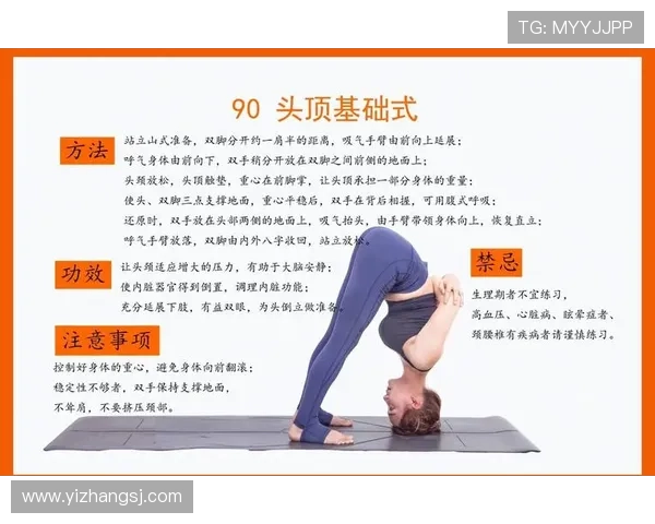 零基础进阶极限运动全套教学视频指南助你快速掌握核心技巧