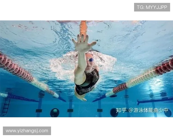 全面提升体能的科学化游泳训练计划与进阶策略全方位实用指南详解